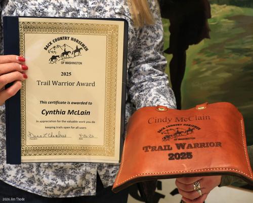 2025-award-cynthis-mclain-trail-warrior-award.jpg