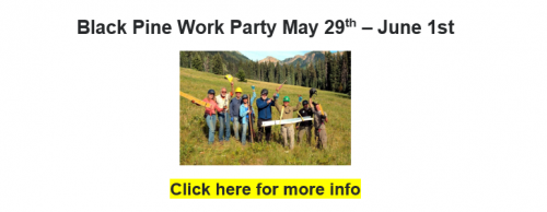 Black Pine Work Party May 29 - June 1
