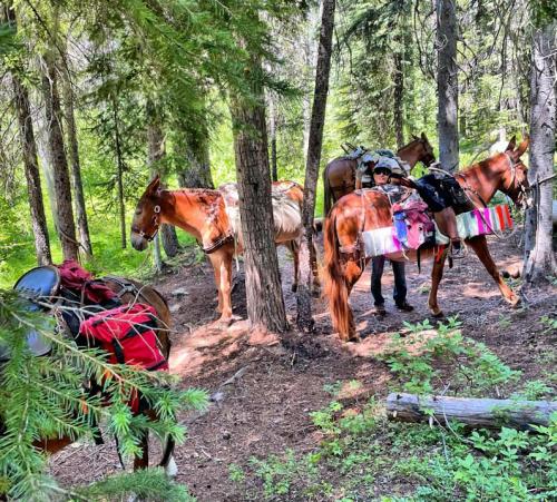 Black Pine Jack Creek Trail Work Party