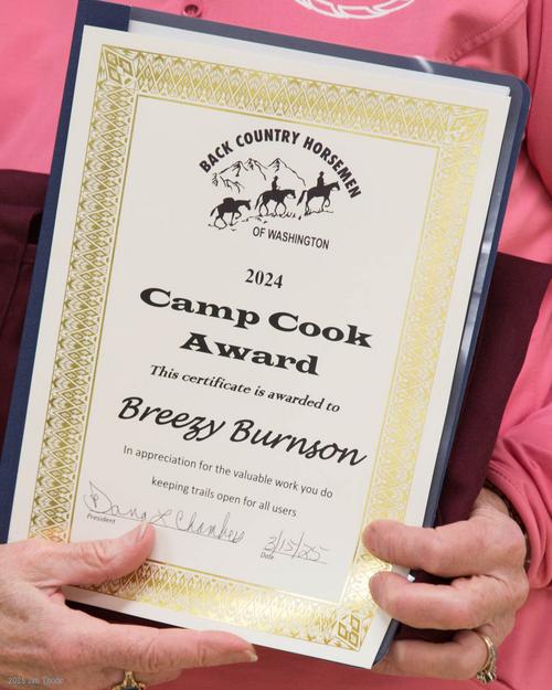 breezy-burnson-award-2024.jpg