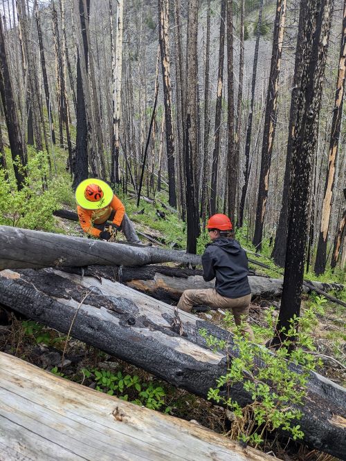 Trail Crew Reports