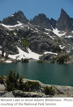 Junior Back Country Horsemen of Washington