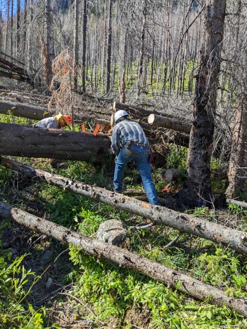 Trail Work Opportunities Trail Work Opportunities