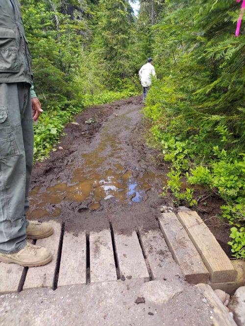 Schreiber's Meadow/Park Butte Trail Regional Work Party