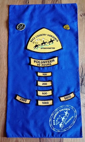 volunteer-hours-and-pin1--1--new.jpg